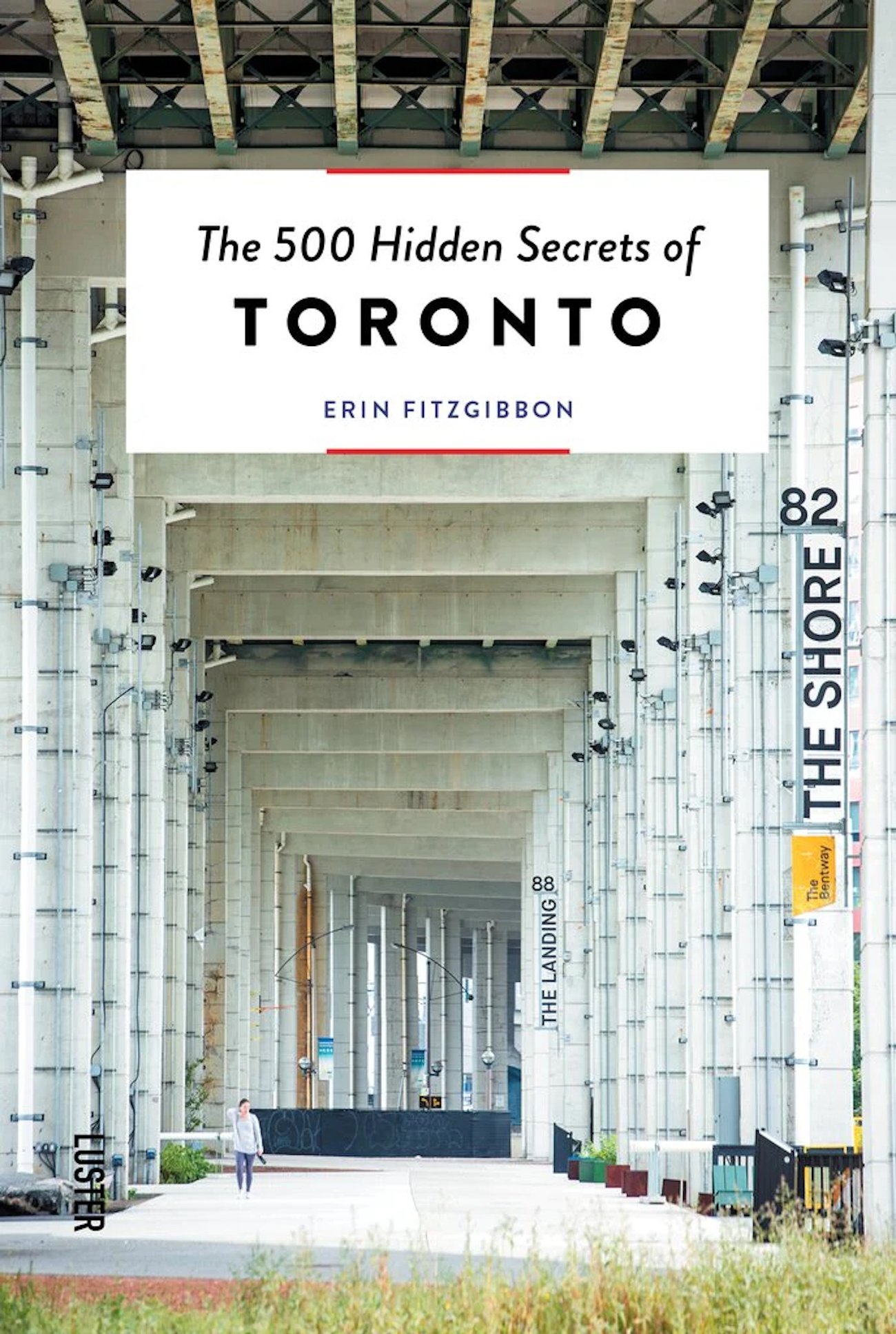 Toronto-themed gifts book